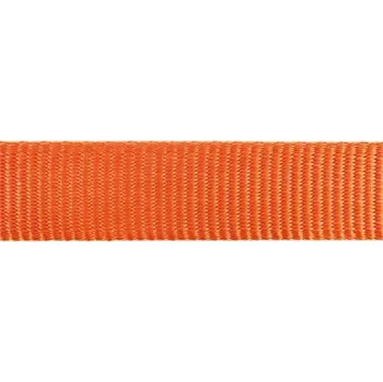 Vodítko pro psa Vodítko Red Dingo přepínací 12 mm x 2 m - Jednobarevný - Oranžová
