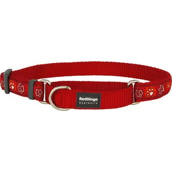 Obojek pro psa Obojek polostahovací Red Dingo 20 mm x 33-50 cm - Paw Impressions RE