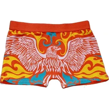 Sportovní oblečení Dětské trenýrky chlapecké orlice 25759 oranž