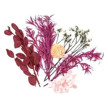 Set školních potřeb Kwiaty suszone dekoracyjne bordowy różowy