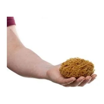 Mořská houba tráva malá - nebělená