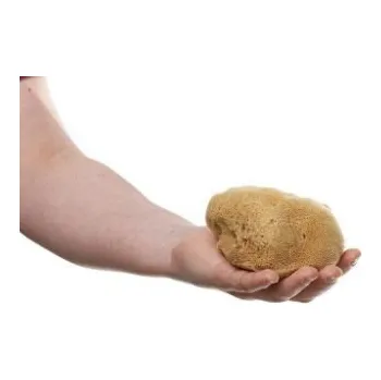 Mořská houba hedvábná střední - nebělená