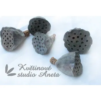 umělá květina Lotos mini