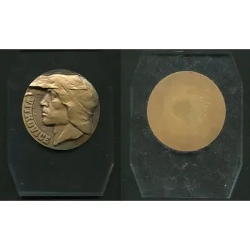 VÍTKOVICE. Medaile na průhlédné plastové desce.