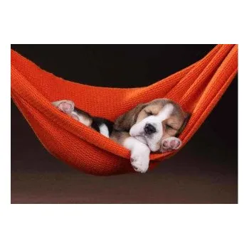 Pohlednice - Good sleeper