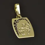 Goldpoint Zlatý přívěsek znamení střelce Váha: 0.71 g