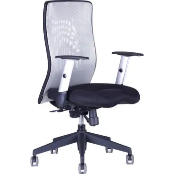 Office Pro Kancelářská židle Calypso Grand BP 12A11 (šedá)