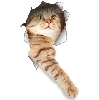 Samolepící dekorace Nálepka na zeď | 3D samolepka na zeď kočka - Kočka