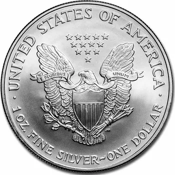 United States Mint American Eagle stříbrná mince 1oz 2006