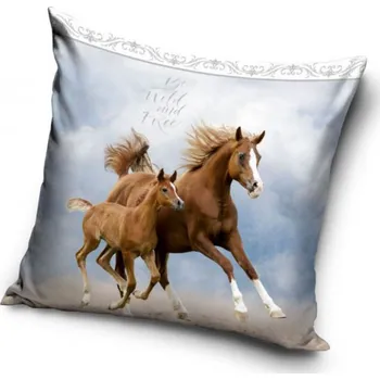 Dekorativní polštářek Povlak na polštář Koně v oblacích 40x40 cm (Dekorační povlak na polštářek s koněm, kůň)