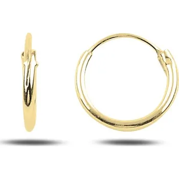 Náušnice Stříbrné kroužkové náušnice 1 cm GOLD Ag 925; ≤0,3 g.