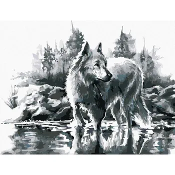 Malování podle čísel Bílý vlk, 40x50 cm, vypnuté plátno na rám