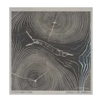 Zahraniční hudba LP NEEDTOBREATHE: Rivers In The Wasteland 2021 Gatefold Sleeve Vinyl