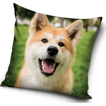 Dekorativní polštářek Povlak na polštář Akita Inu 40x40 cm (Dekorační povlak na polštářek se psem, pejsek, psi)