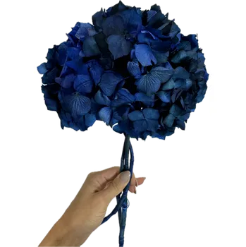 umělá květina Stabilizovaná hortenzie tmavě modrá svazek