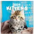 Kalendář Notique Nástěnný poznámkový kalendář Koťata 2025