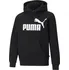 Chlapecká mikina PUMA Essentials Big Logo Hoodie Youth 586965-01