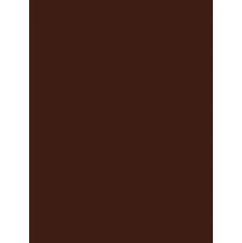 Obklad RAKO Obklad Rako Concept Plus hnědá lesk 25x33 WAAKB009 WAAKB009