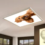 Dětské LED stropní svítidlo ORTUS - motiv pes (Dětský lustr - stropní svítidlo- světlo do dětského pokoje)