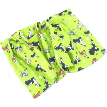 Nákrčník Pamlskový Ráj Nákrčník - border kolie Vyberte barvu:: zelená 1 (borderka)