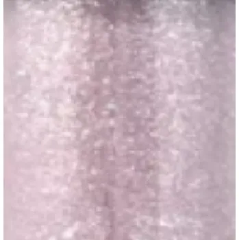 Lesk na rty EVA GARDEN LIP GLOSS DIAMOND Varianta: 850 PURE