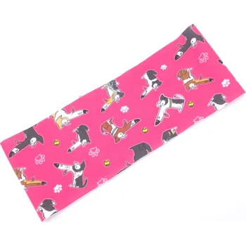 Čelenka Pamlskový Ráj Čelenka - border kolie Vyberte barvu:: růžová 1 (borderka)