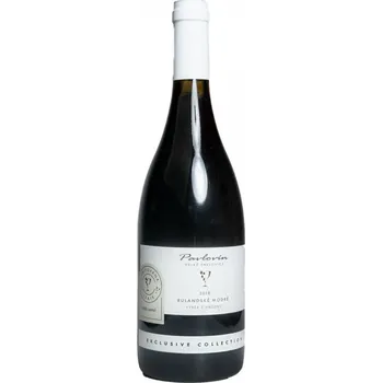 Víno Rulandské Modré Baririque - červené suché PS - vinařství Pavlovín - 0.75L