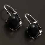 Goldpoint Stříbrné náušnice čtvercový Onyx Varianta: stříbrné náušnice