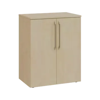 Šatní skříň LXN 2 - 6D2 kancelářská skříň, 2-dveřová, 750x600x400, bříza světlá