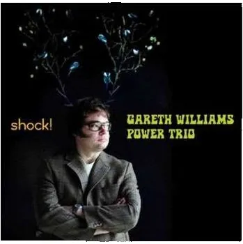 Zahraniční hudba SACD Gareth Williams Power Trio: Shock! 2009 SACD