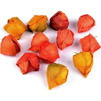 umělá květina Umělá mochyně k aranžování BALENÍ 12 kusů malých - oranžovožlutá