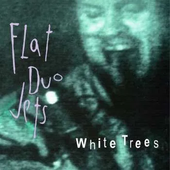 Zahraniční hudba CD Flat Duo Jets: White Trees 2024