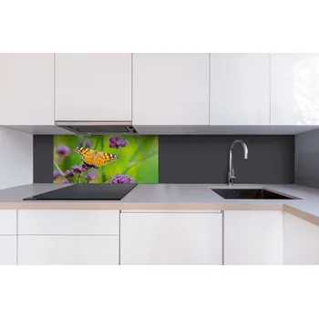 Obklad DIMEX | Dibond za kuchyňskou linku DBW-08040-113 | 80 x 40 cm | Motýli + Dibond deska za kuchyňskou linku DIMEX v rozměru 80 x 40 cm, motiv Motýli