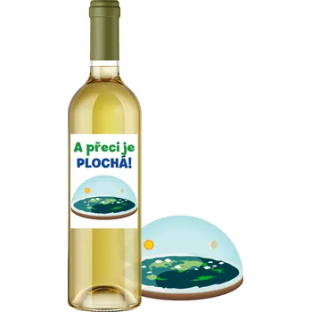 Víno A přeci je plochá - z květů černého bezu 11,5% alk. | Rybízák.cz z květů černého bezu 11,5% alk.