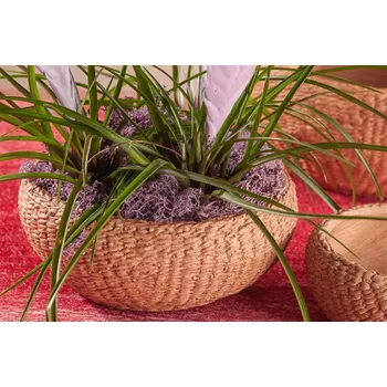 Obal na květináč Paramit STROMBOLI Aranžovací miska 22 cm terakota