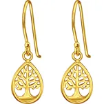 Stříbrné visací náušnice ZLATÝ STROM Ag 925; ≤1 g.