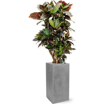 Květináč Fiberstone Bouvy Grey matný 30x30x60cm + doprava zdarma