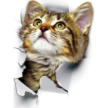 Samolepící dekorace Nálepka na zeď | 3D samolepka na zeď kočka - malé koťátko