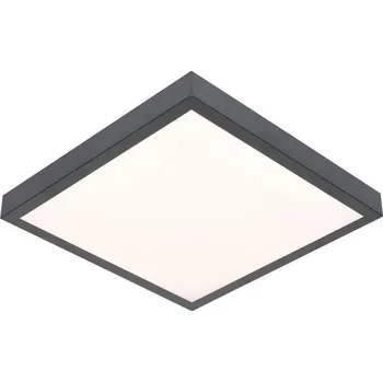 Stropní světlo LED Stropní svítidlo VITALI LED/24W/230V