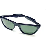 Brýle VISION POLARIZED FASHION 209 černé/světle zelená skla