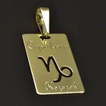 Goldpoint Zlatý přívěsek znamení kozoroh Váha: 1.30 g