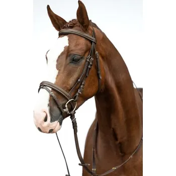 Jezdectví Uzdečka HKM Lou kožená Černá FULL