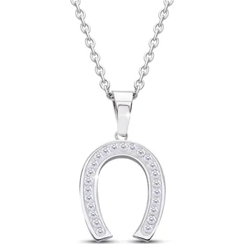 Řetízek biju Řetízek z chirurgické oceli, podkova se zirkony 3002229