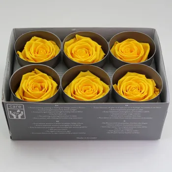 umělá květina Hlava stabilizované růže Barva: White