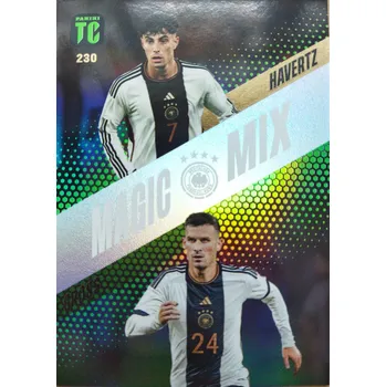 Sběratelská karetní hra Pascal Gross, Kai Havertz