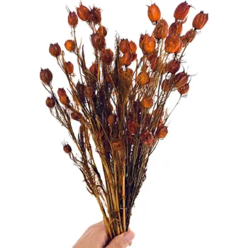 umělá květina Stabilizovaná černucha (Nigella) karamelová svazek/kytice 50g