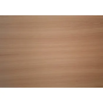 Překližka Vodovzdorná truhlářská překližka Modřín 4/1700/2500 dýha natur