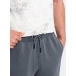 Ombre Joggers kalhoty OM-PABS-0174 Šedá Regular Fit S