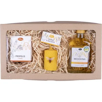 Dárkový potravinový koš Pleva To nejlepší z našeho regionu - Medovina z lipového medu 0,2 l, Propolis v medu 250 g, semínkové kuličky Louka v kuličce 1 balení - 6 ks, Svíčka ze včelího výška 6,7 cm a průměr 4 cm, Ozdobný špendlík Včela 1 ks, dárková sada