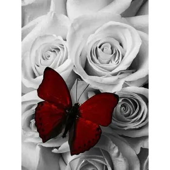 Diamantové malování Diamantové malování - Rudý motýl a růže